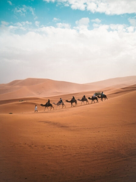 travel guide in morocco